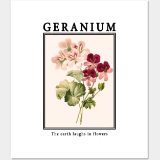 Geranium - Vintage Postcard Posters and Art